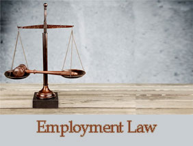 Job Search Related Information - Employment Law